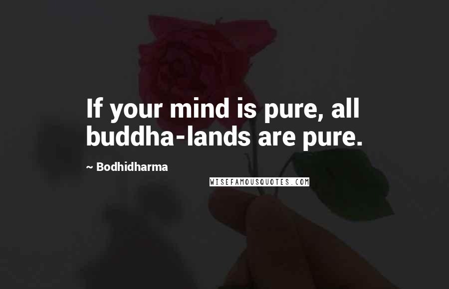 Bodhidharma Quotes: If your mind is pure, all buddha-lands are pure.