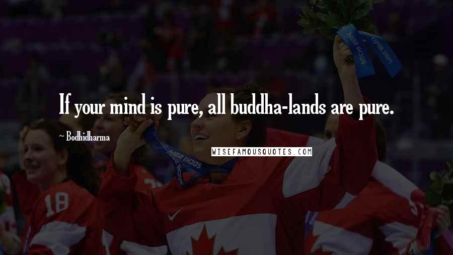 Bodhidharma Quotes: If your mind is pure, all buddha-lands are pure.