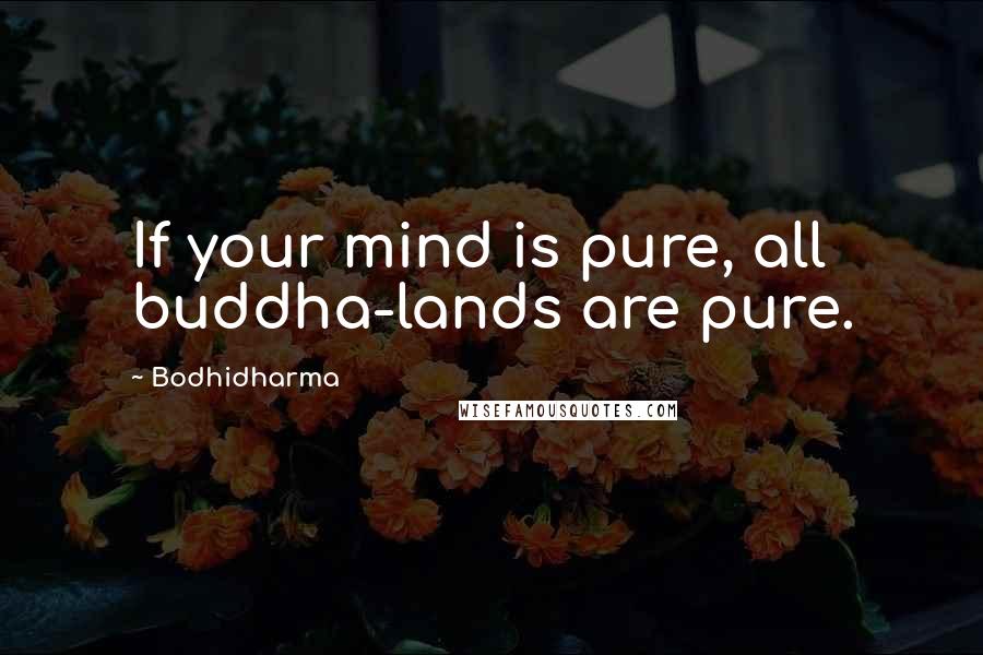 Bodhidharma Quotes: If your mind is pure, all buddha-lands are pure.