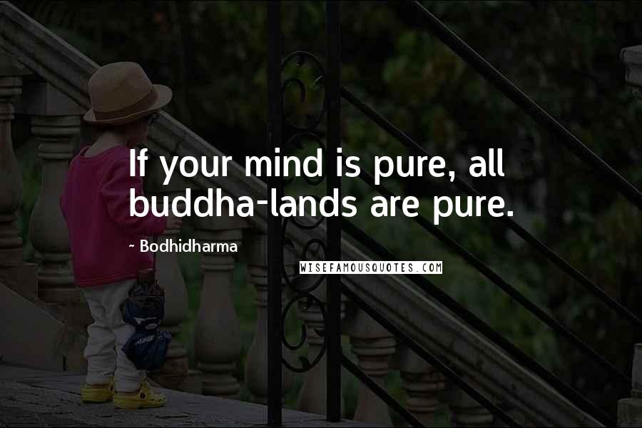 Bodhidharma Quotes: If your mind is pure, all buddha-lands are pure.