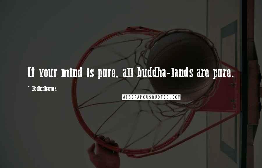 Bodhidharma Quotes: If your mind is pure, all buddha-lands are pure.