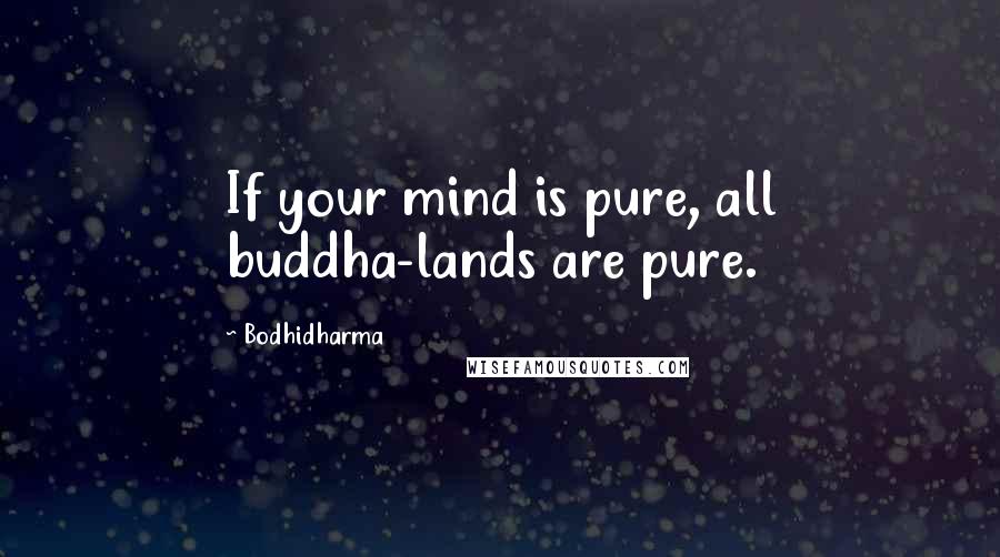 Bodhidharma Quotes: If your mind is pure, all buddha-lands are pure.