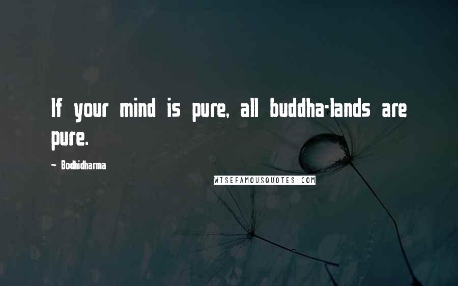 Bodhidharma Quotes: If your mind is pure, all buddha-lands are pure.