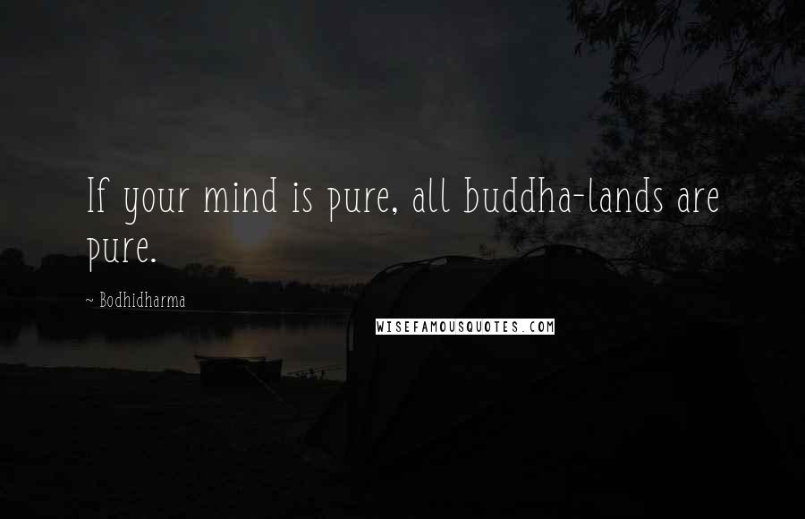 Bodhidharma Quotes: If your mind is pure, all buddha-lands are pure.