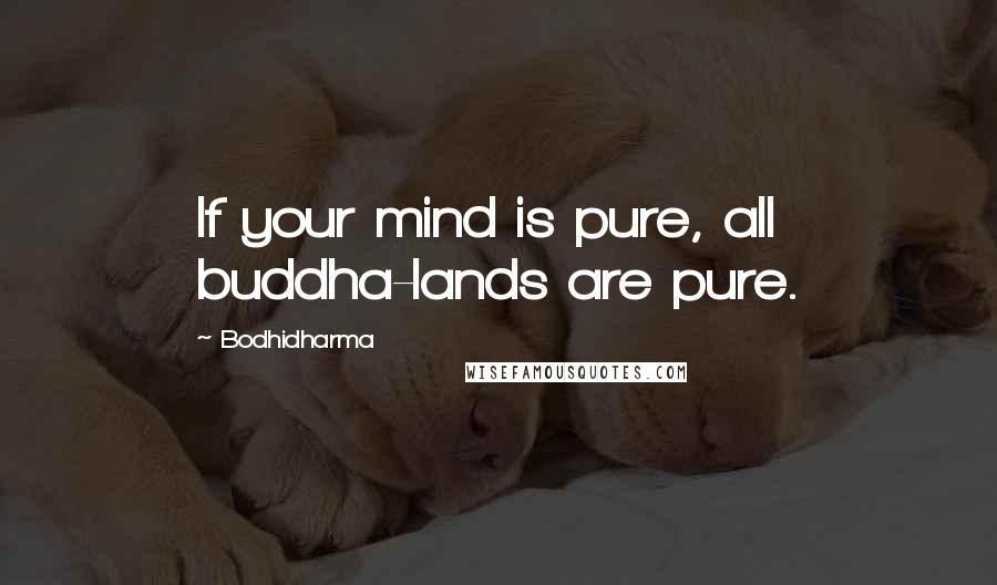 Bodhidharma Quotes: If your mind is pure, all buddha-lands are pure.