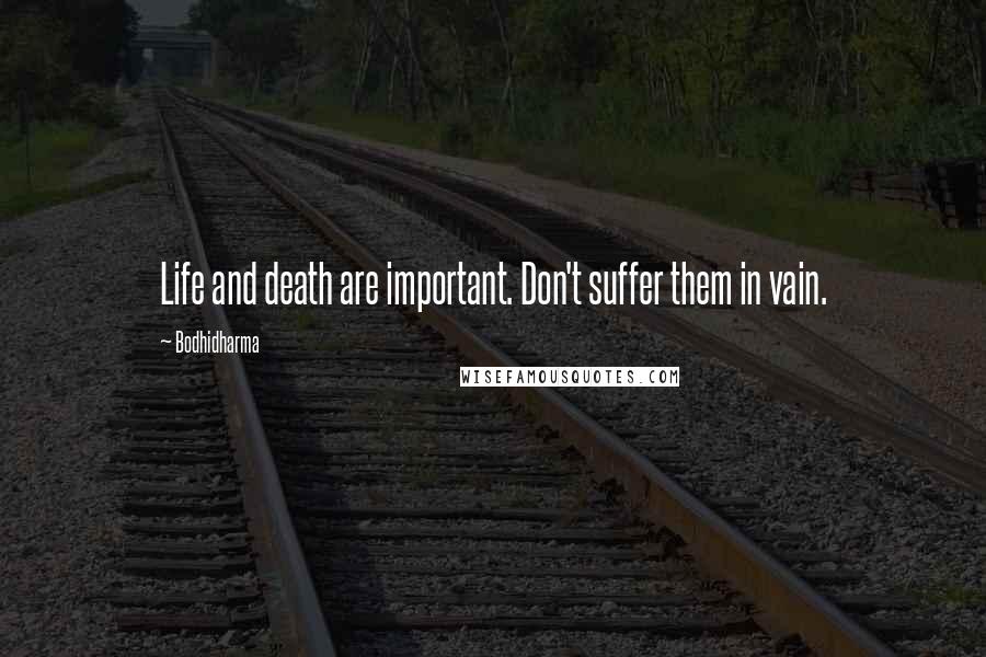 Bodhidharma Quotes: Life and death are important. Don't suffer them in vain.