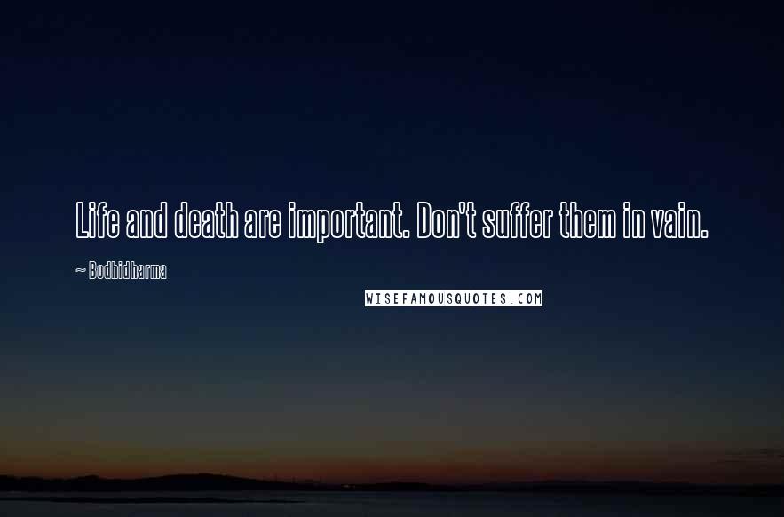 Bodhidharma Quotes: Life and death are important. Don't suffer them in vain.
