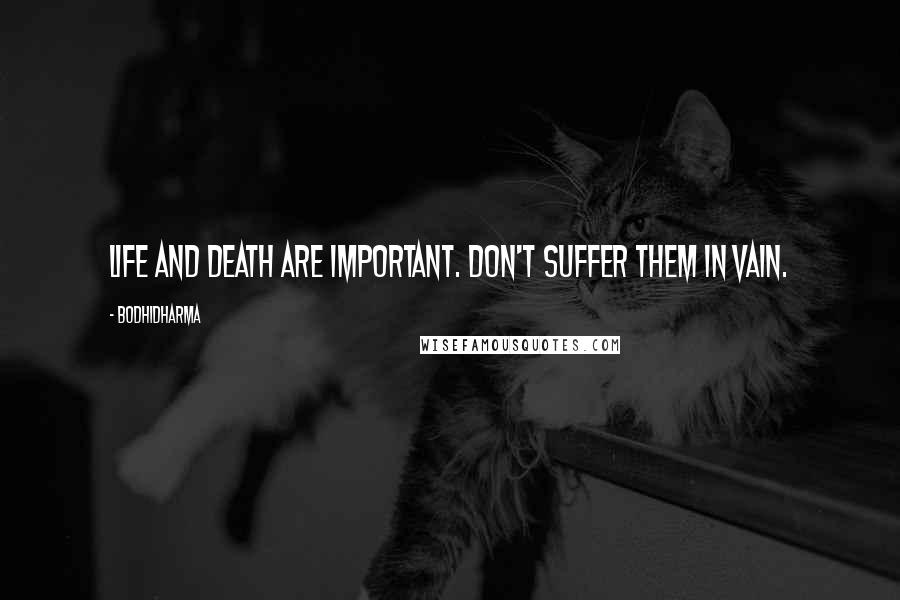 Bodhidharma Quotes: Life and death are important. Don't suffer them in vain.