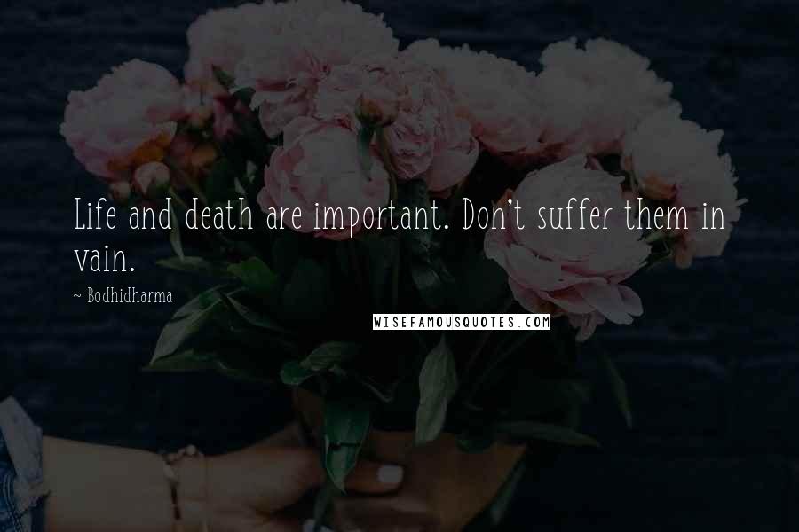 Bodhidharma Quotes: Life and death are important. Don't suffer them in vain.