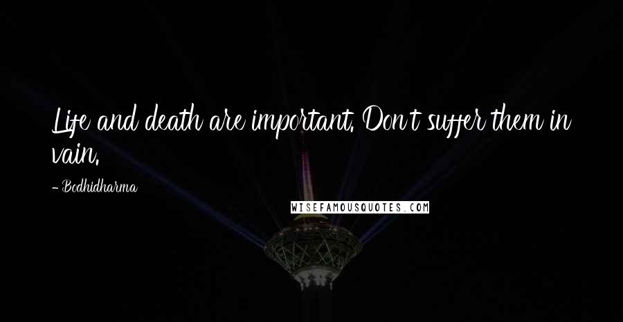 Bodhidharma Quotes: Life and death are important. Don't suffer them in vain.