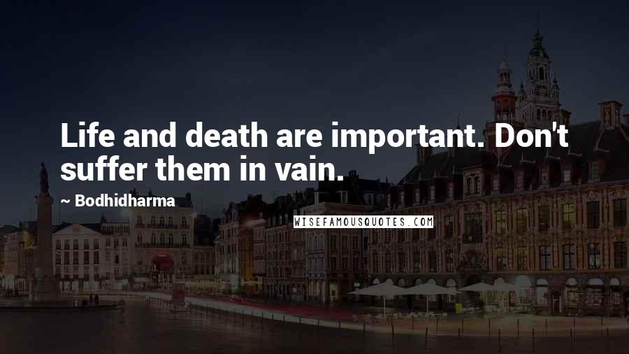 Bodhidharma Quotes: Life and death are important. Don't suffer them in vain.