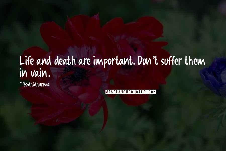 Bodhidharma Quotes: Life and death are important. Don't suffer them in vain.