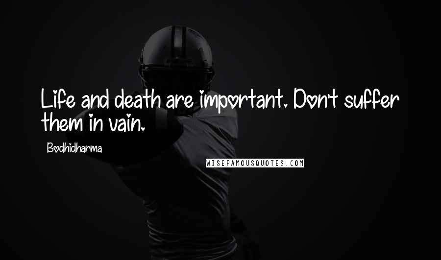 Bodhidharma Quotes: Life and death are important. Don't suffer them in vain.