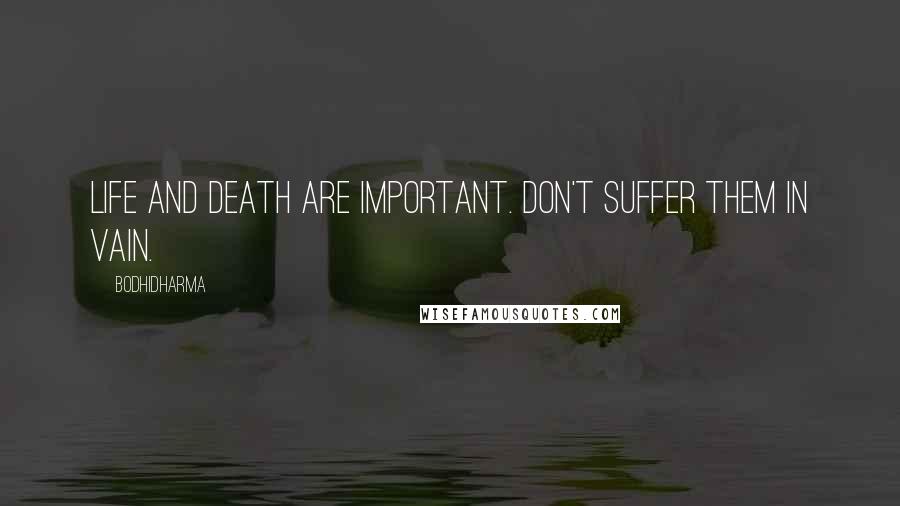 Bodhidharma Quotes: Life and death are important. Don't suffer them in vain.