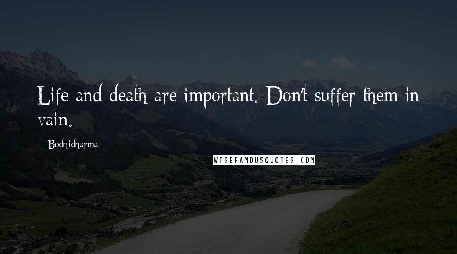 Bodhidharma Quotes: Life and death are important. Don't suffer them in vain.