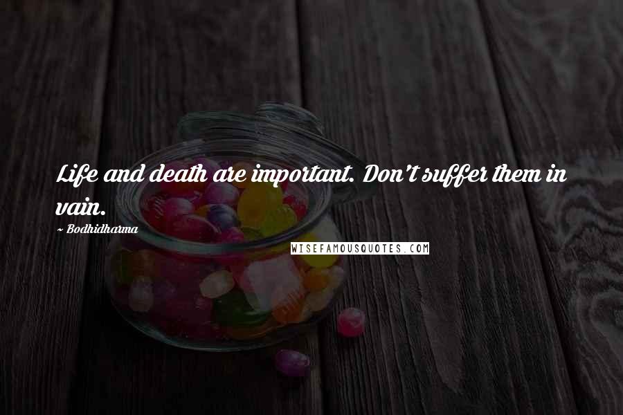 Bodhidharma Quotes: Life and death are important. Don't suffer them in vain.