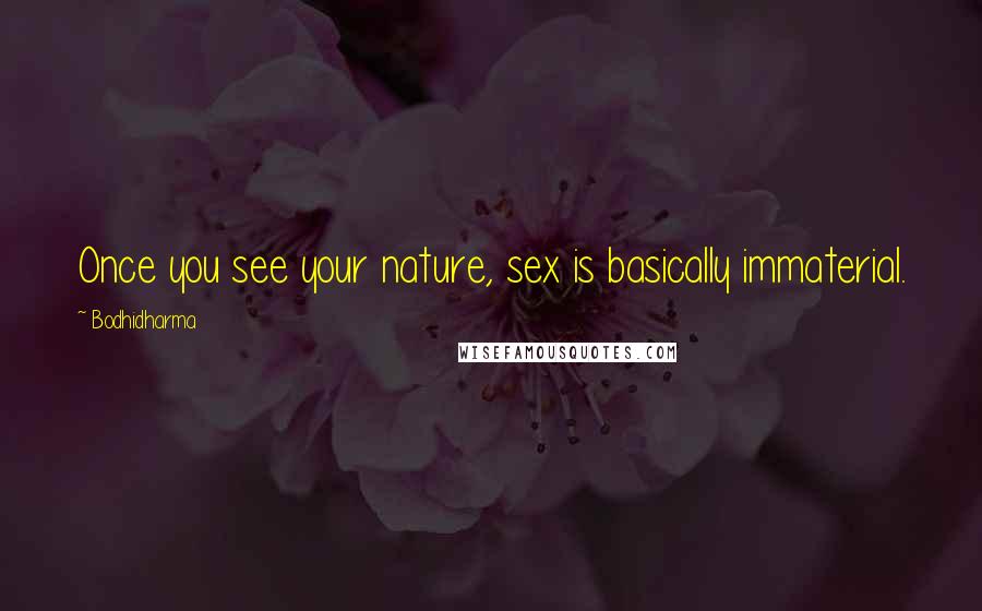 Bodhidharma Quotes: Once you see your nature, sex is basically immaterial.