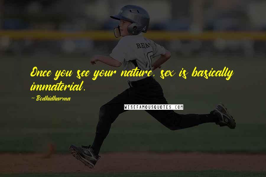 Bodhidharma Quotes: Once you see your nature, sex is basically immaterial.