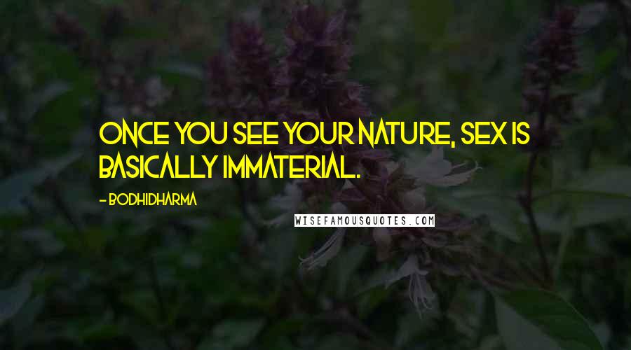 Bodhidharma Quotes: Once you see your nature, sex is basically immaterial.