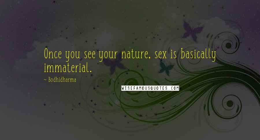 Bodhidharma Quotes: Once you see your nature, sex is basically immaterial.