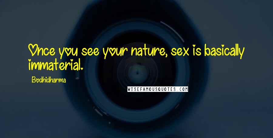 Bodhidharma Quotes: Once you see your nature, sex is basically immaterial.