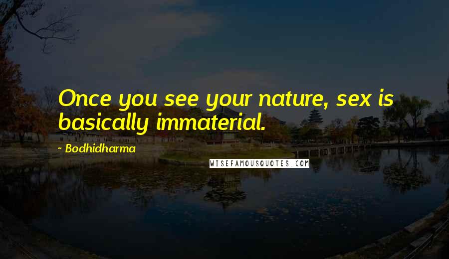 Bodhidharma Quotes: Once you see your nature, sex is basically immaterial.