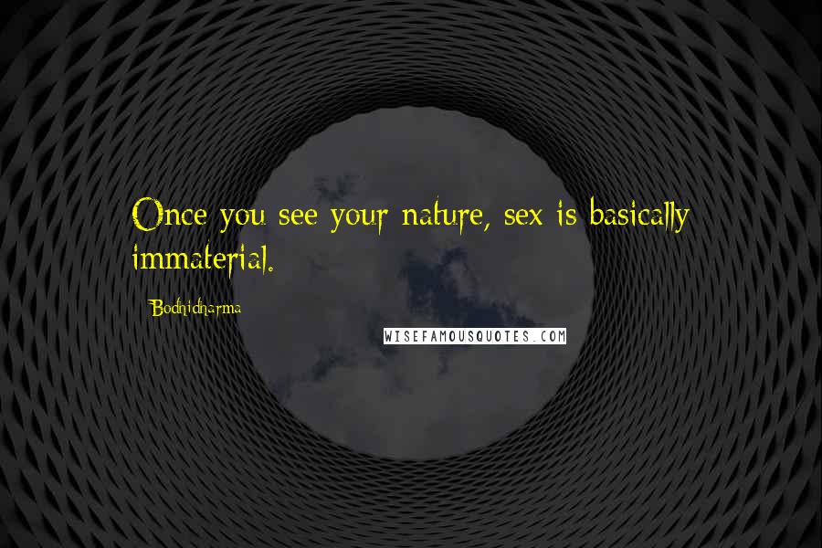 Bodhidharma Quotes: Once you see your nature, sex is basically immaterial.