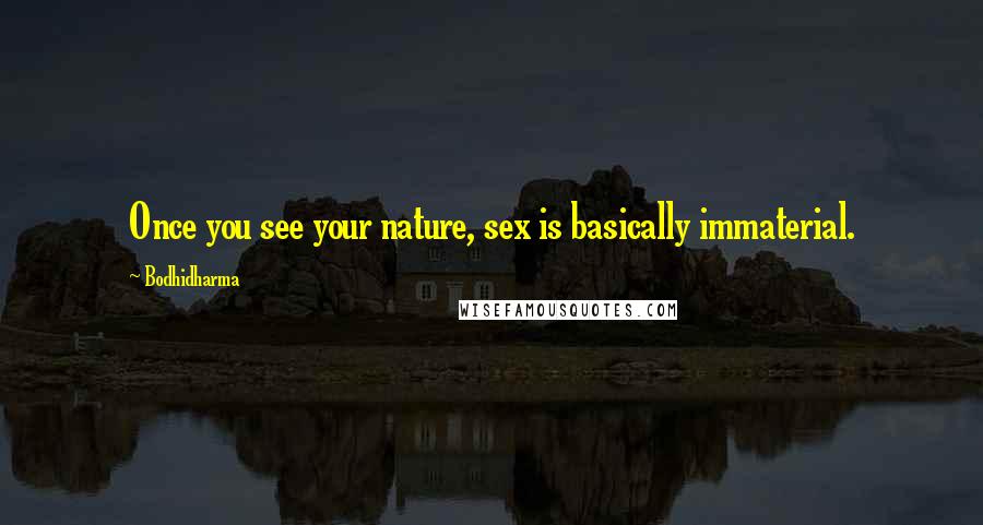 Bodhidharma Quotes: Once you see your nature, sex is basically immaterial.