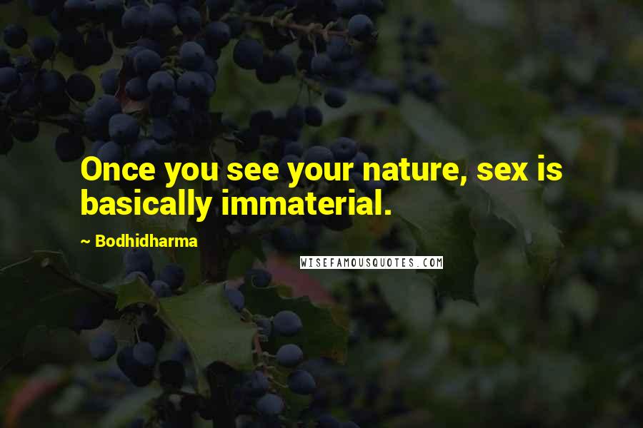 Bodhidharma Quotes: Once you see your nature, sex is basically immaterial.