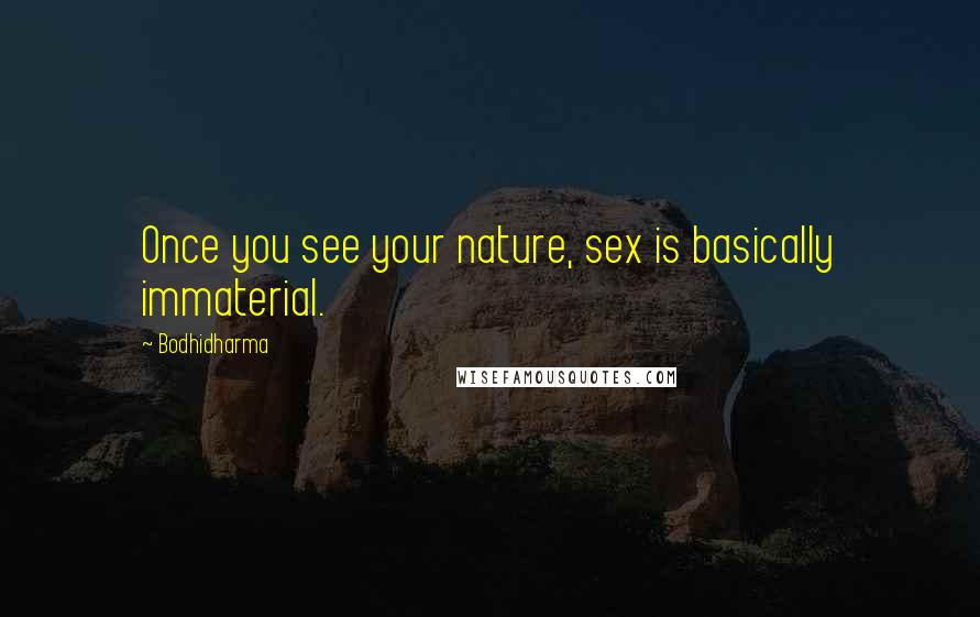 Bodhidharma Quotes: Once you see your nature, sex is basically immaterial.