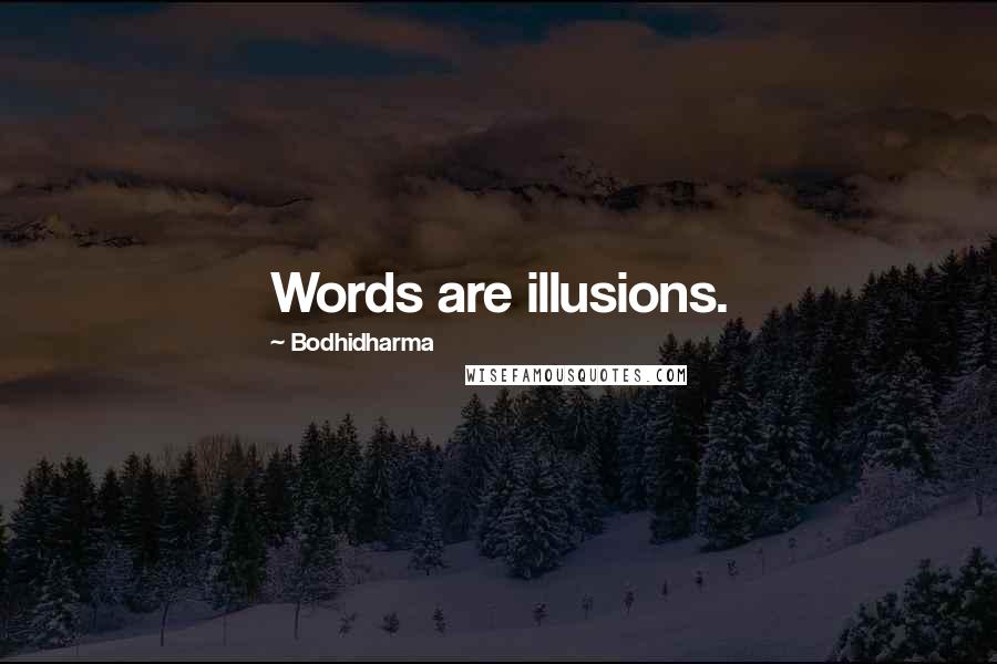 Bodhidharma Quotes: Words are illusions.