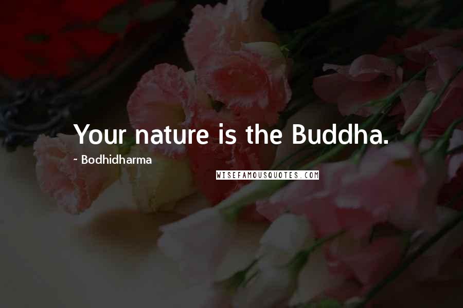 Bodhidharma Quotes: Your nature is the Buddha.