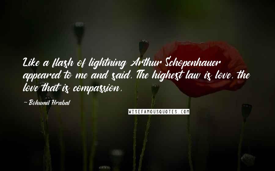 Bohumil Hrabal Quotes: Like a flash of lightning Arthur Schopenhauer appeared to me and said, The highest law is love, the love that is compassion,