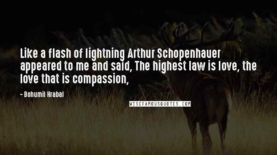 Bohumil Hrabal Quotes: Like a flash of lightning Arthur Schopenhauer appeared to me and said, The highest law is love, the love that is compassion,