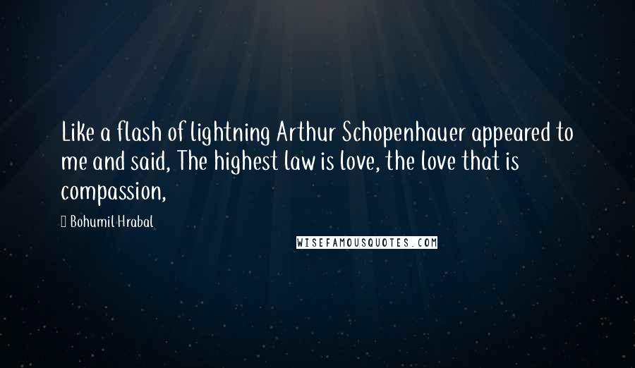 Bohumil Hrabal Quotes: Like a flash of lightning Arthur Schopenhauer appeared to me and said, The highest law is love, the love that is compassion,