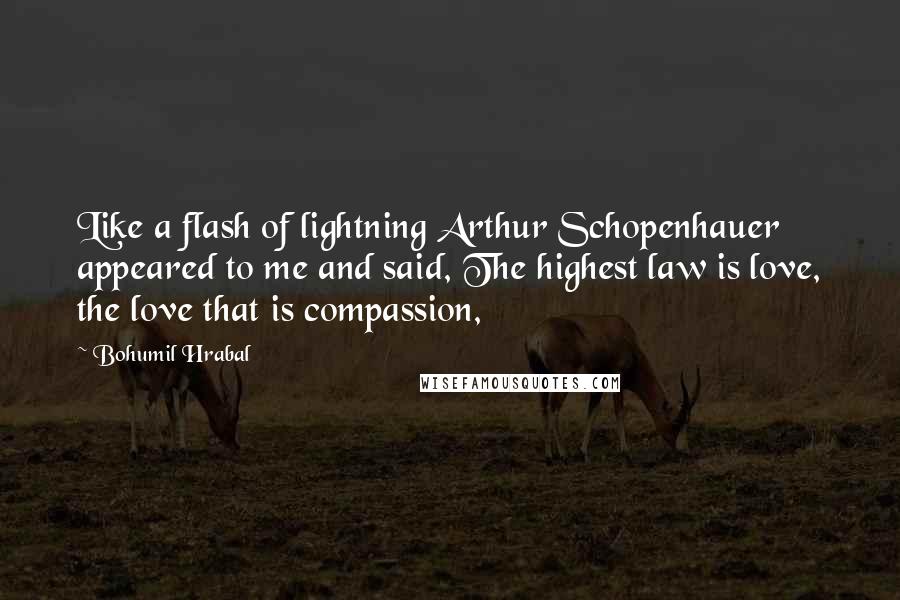 Bohumil Hrabal Quotes: Like a flash of lightning Arthur Schopenhauer appeared to me and said, The highest law is love, the love that is compassion,