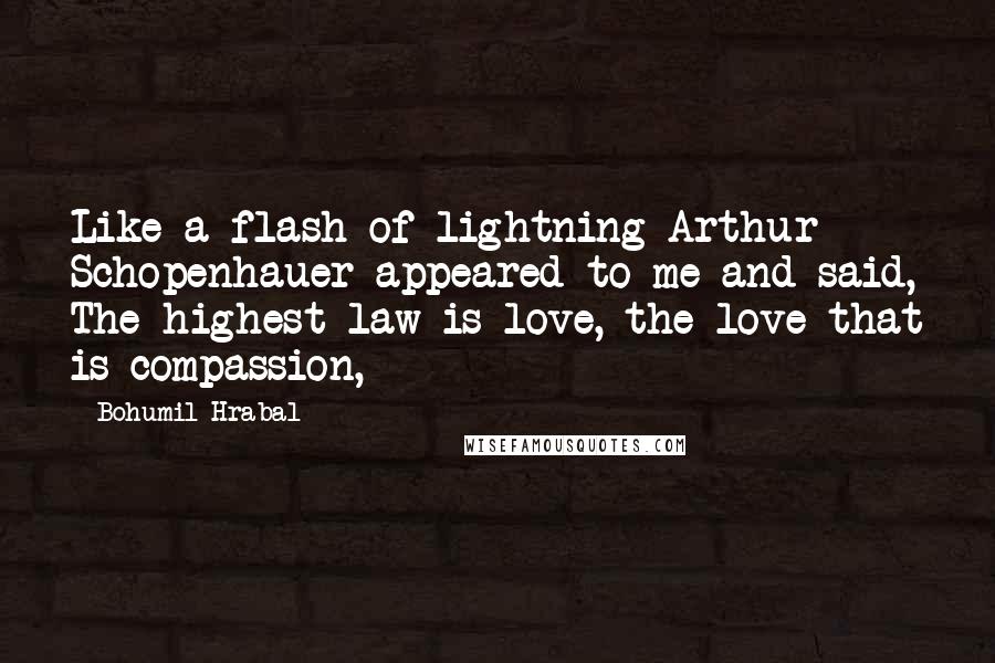 Bohumil Hrabal Quotes: Like a flash of lightning Arthur Schopenhauer appeared to me and said, The highest law is love, the love that is compassion,