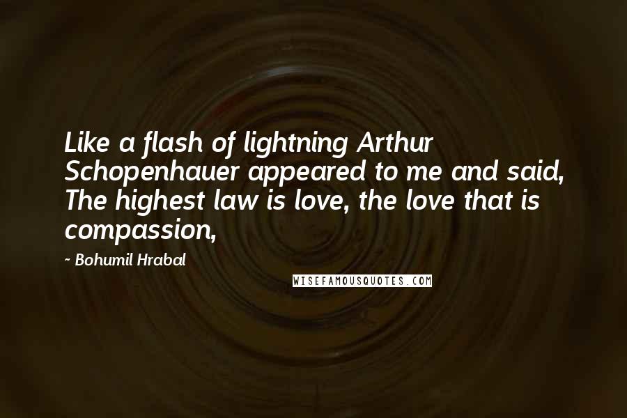 Bohumil Hrabal Quotes: Like a flash of lightning Arthur Schopenhauer appeared to me and said, The highest law is love, the love that is compassion,