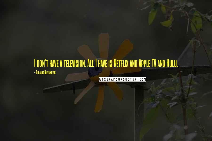 Bojana Novakovic Quotes: I don't have a television. All I have is Netflix and Apple TV and Hulu.