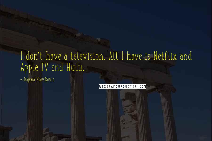 Bojana Novakovic Quotes: I don't have a television. All I have is Netflix and Apple TV and Hulu.