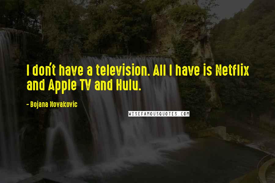 Bojana Novakovic Quotes: I don't have a television. All I have is Netflix and Apple TV and Hulu.