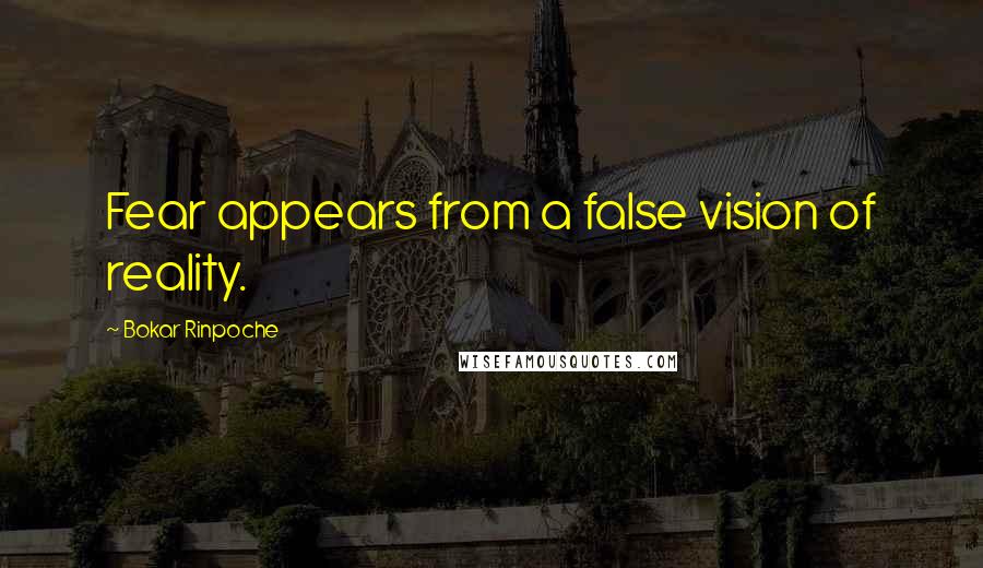 Bokar Rinpoche Quotes: Fear appears from a false vision of reality.