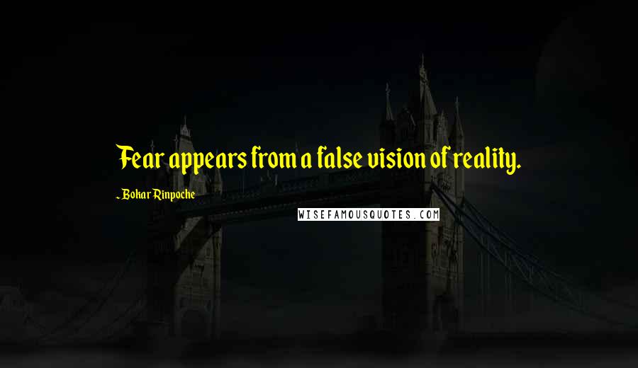 Bokar Rinpoche Quotes: Fear appears from a false vision of reality.