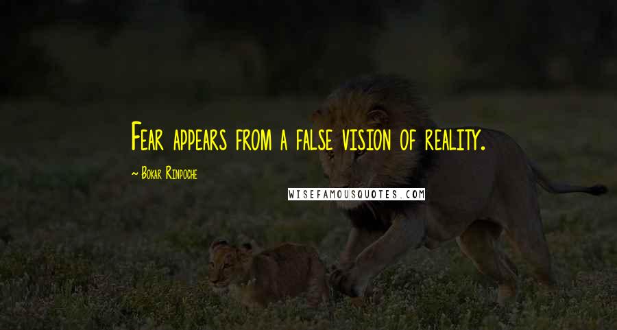 Bokar Rinpoche Quotes: Fear appears from a false vision of reality.