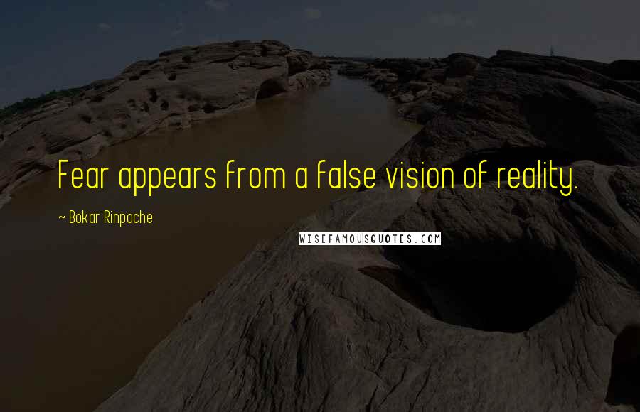 Bokar Rinpoche Quotes: Fear appears from a false vision of reality.