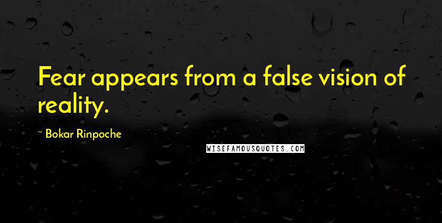 Bokar Rinpoche Quotes: Fear appears from a false vision of reality.