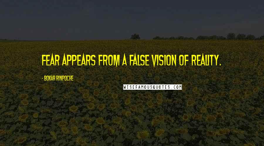 Bokar Rinpoche Quotes: Fear appears from a false vision of reality.