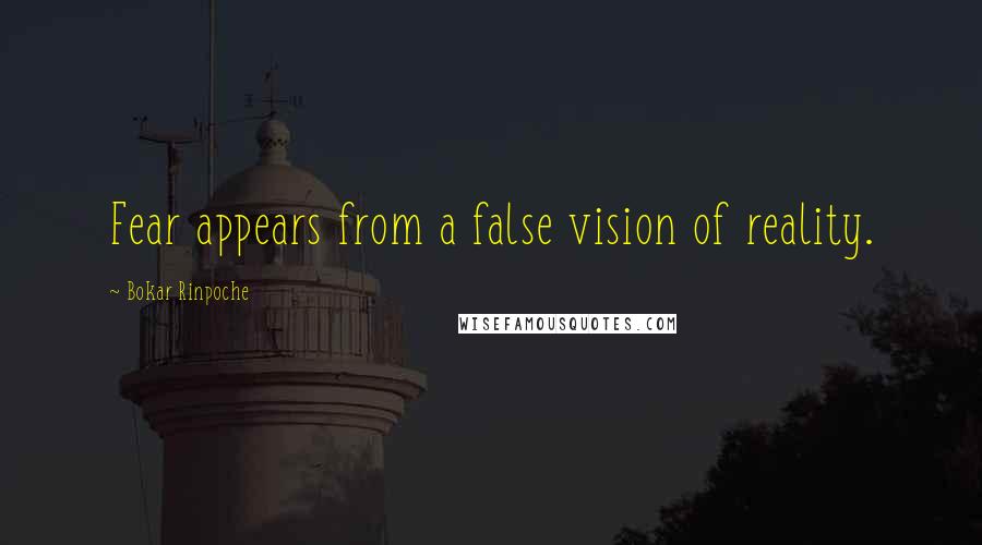 Bokar Rinpoche Quotes: Fear appears from a false vision of reality.