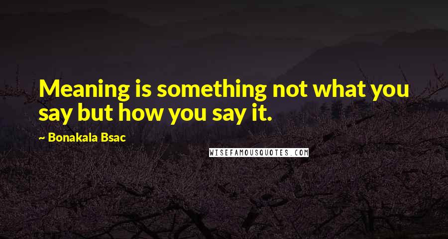 Bonakala Bsac Quotes: Meaning is something not what you say but how you say it.