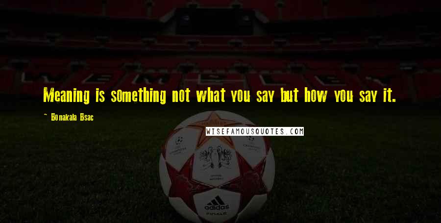 Bonakala Bsac Quotes: Meaning is something not what you say but how you say it.